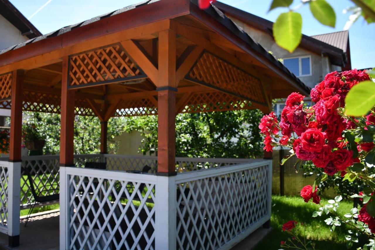 Pensiunea Clasic Hunedoara Pestisu Mare Exterior photo