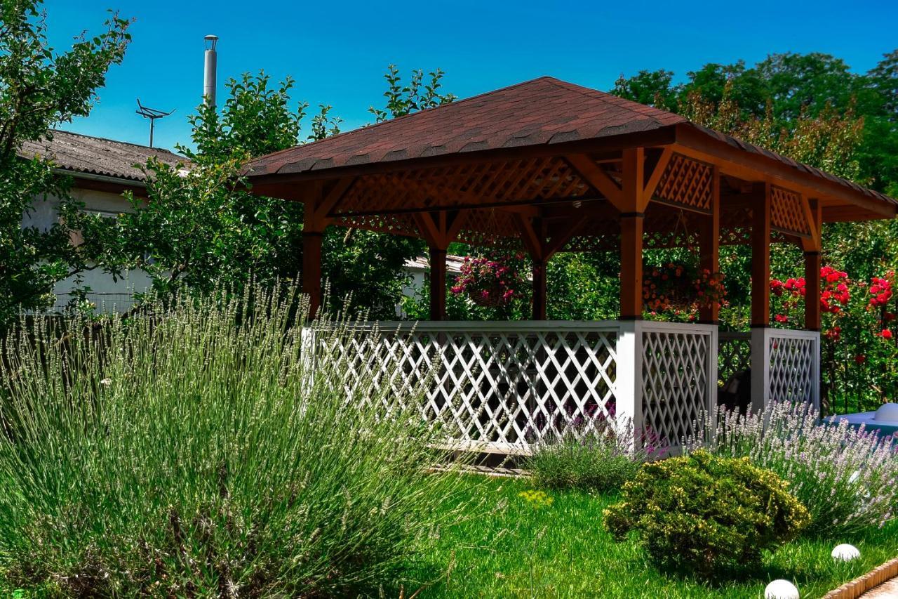 Pensiunea Clasic Hunedoara Pestisu Mare Exterior photo